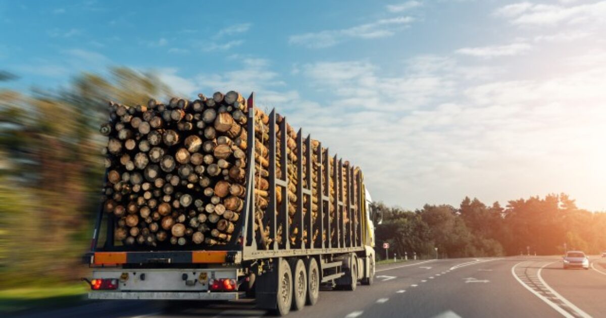 Log truck driver fatally injured on the job in South Carolina