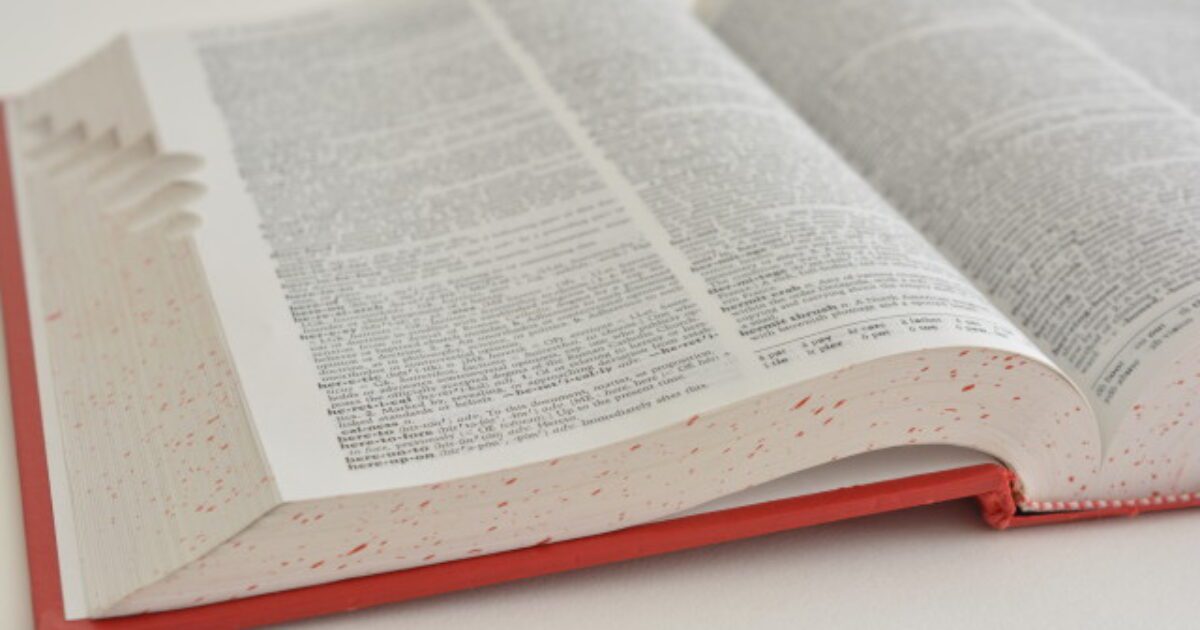 Terms and Definitions to Know After A South Carolina Auto Accident